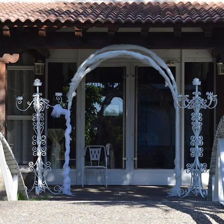 Hotel Las Casitas Del Jardin Tudela de Duero Exterior foto